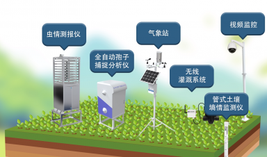 智慧農(nóng)業(yè)創(chuàng)新方案，賦能農(nóng)業(yè)現(xiàn)代化轉(zhuǎn)型新征程